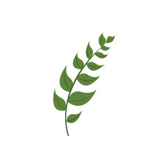 Green leaves Icon Vector illustration. Nature Leaf decorative symbol. leaves of trees and plants sign, emblem isolated on white background.