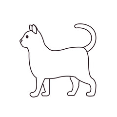 Cat animal cute illustration symbol vector