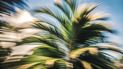 Abstract palm tree leaves blurred motion, Close-up abstract image of palm tree leaves blurred in motion, creating a vibrant green and white pattern against a blue sky. © MihaForPeace