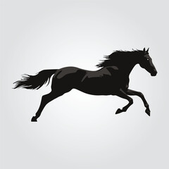 Silhouette of a horse vector illustration