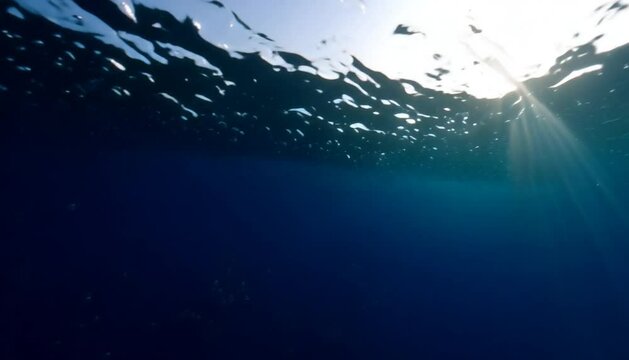 underwater scene with sun rays