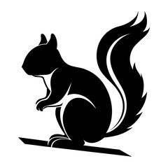 black and white squirrel
