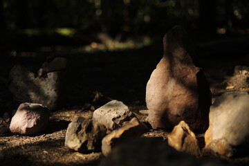 Stones in the sunlight. Ancient rocks standing in a forest. Sedimentary rocks.