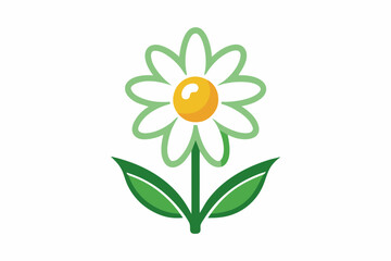 Chamomile pharmacy vector illustration