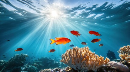 Obraz premium Vibrant Underwater Scene with Colorful Fish and Coral