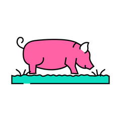 pig field animal line icon vector. pig field animal sign. isolated symbol illustration
