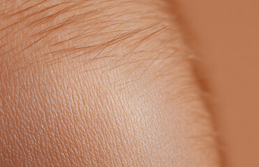 Close-Up of Skin on an Arm Showcasing Fine Hairs | Detailed Texture and Natural Beauty