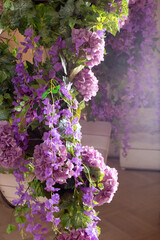 Lavish lilac and purple floral display with lush greenery in soft sunlight