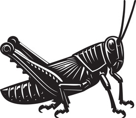 Grasshopper Silhouette isolated on a white background Minimalist Grasshopper vector illustration
