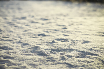 Sunlit Snow-Covered Landscape - Calm Winter Scene Captured at Golden Hour