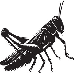 Grasshopper Silhouette isolated on a white background Minimalist Grasshopper vector illustration