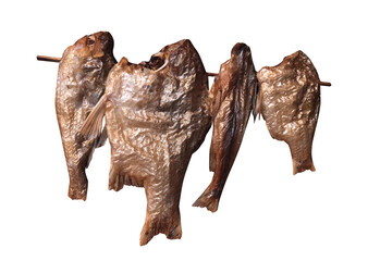 dried fish isolated on white, dry fish image for preservation menu concept