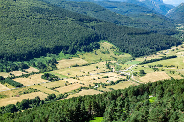 landscape with vineyard