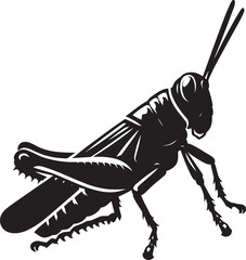 Grasshopper Silhouette isolated on a white background Minimalist Grasshopper vector illustration
