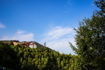 houses, roofs of hotels in the forest, mountains, panorama, summer