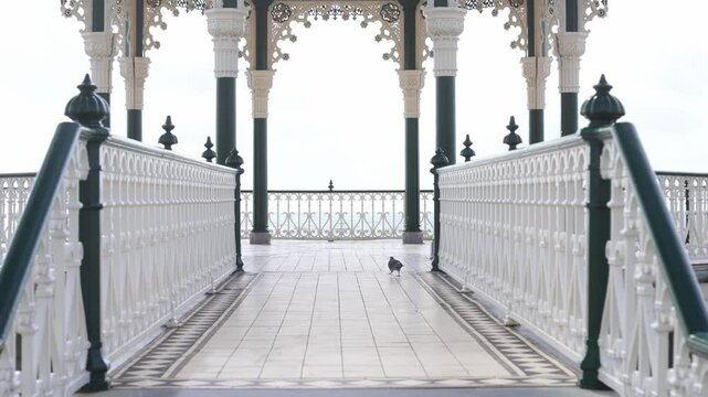 Beautiful Brighton Beach Bandstand with Pigeon Walking Across, Brighton, UK