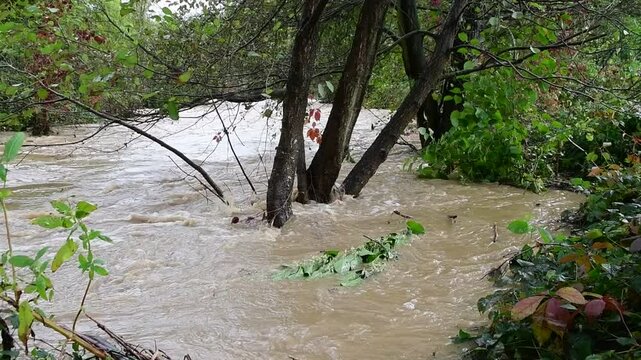 River in flood with flooding in Isere in France in autumn.