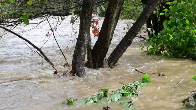 River in flood with flooding in Isere in France in autumn.