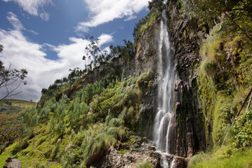 Fototapeta premium Cascada entre la montaña con bosque joven de eucalipto