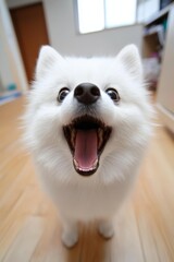  A tight shot of a dog on a wooden floor, tongue out and mouth agape