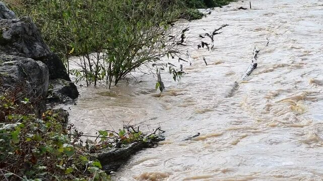 River in flood with flooding in Isere in France in autumn.