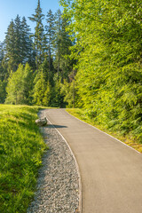 Lane in meadow and deep blue sky. Nature design.