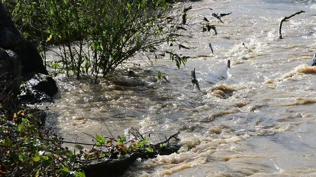 River in flood with flooding in Isere in France in autumn.