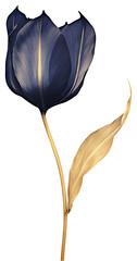 PNG Indigo tulip flower petal plant.