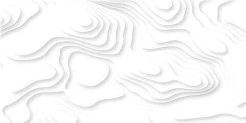 White minimal abstract background papercut and grid spiral realistic design use for ads banner and advertising print design. topography relief. Vector topographic illustration.