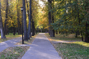 a path in a park with a light on it and yellow trees in the background 