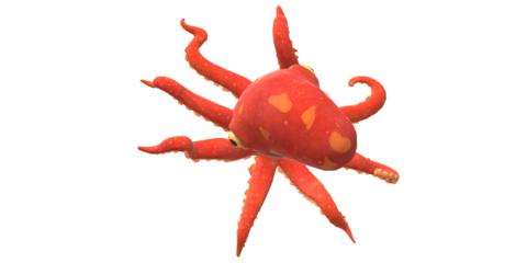 octopus isolated on a Transparent Background