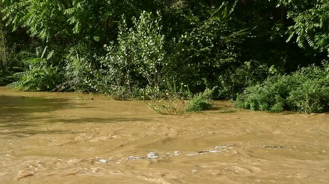 River in flood with flooding in Isere in France in autumn.