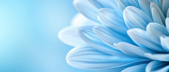  Close-up of a blue flower against a blue and white background Blurred center showcases the flower's essence