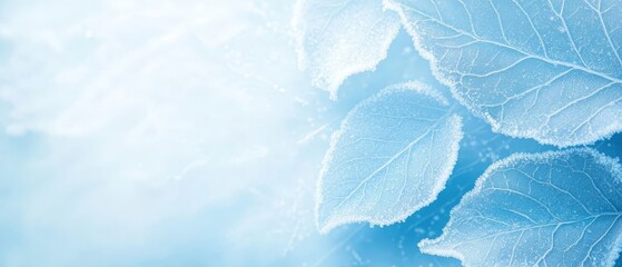  A close-up of a blue leaf dotted with water droplets is located on the image's left side
