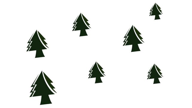 pine tree icon animation video spruce tree, forest wood cartoon animation infinite loop