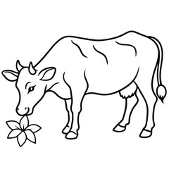 Guernsey cow illustration vector silhouette.