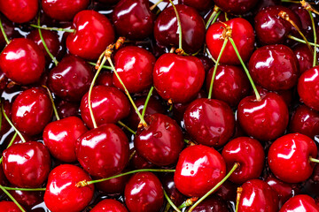 Cherry background.Close up of a bunch of bright red cherries shot from above. Cherry with drops. Food background.
