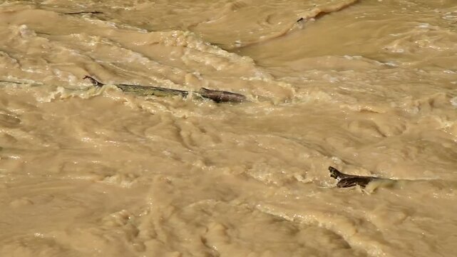 River in flood with flooding in Isere in France in autumn.