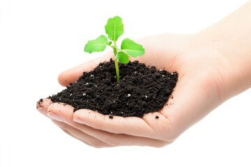 A person is holding a small plant growing in the dirt, perfect for use in a gardening or nature-themed context