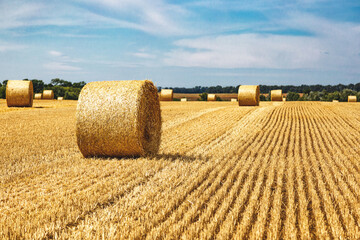 Closeup of a Yellow Round Straw Bale background.Field landscape with blue sky. Wheat field after...
