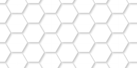 Minimal White Hexagonal Background. Luxury White Pattern. Vector Illustration. 3D Futuristic abstract honeycomb mosaic white background. geometric mesh cell texture. modern futuristic wallpaper.