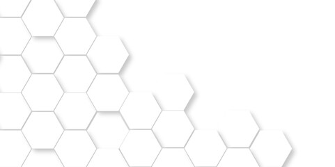 Minimal White Hexagonal Background. Luxury White Pattern. Vector Illustration. 3D Futuristic abstract honeycomb mosaic white background. geometric mesh cell texture. modern futuristic wallpaper.