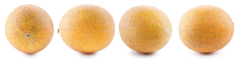 Set of four galia melons isolated on white background. File contains clipping paths.