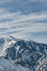 Snowy mountains with forest, tree in snow on Christmas