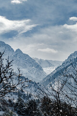 Snowy mountains with forest, tree in snow on Christmas