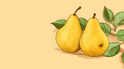 Hand drawn style fragrant pear illustration