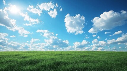 Obraz premium A vast expanse of green grass stretches out under a clear blue sky with puffy white clouds. The sun shines brightly, casting a warm glow on the scene.