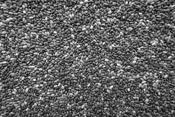 Raw soya beans background. Black and white style