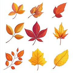 Fototapeta premium autumn leaves set on white background