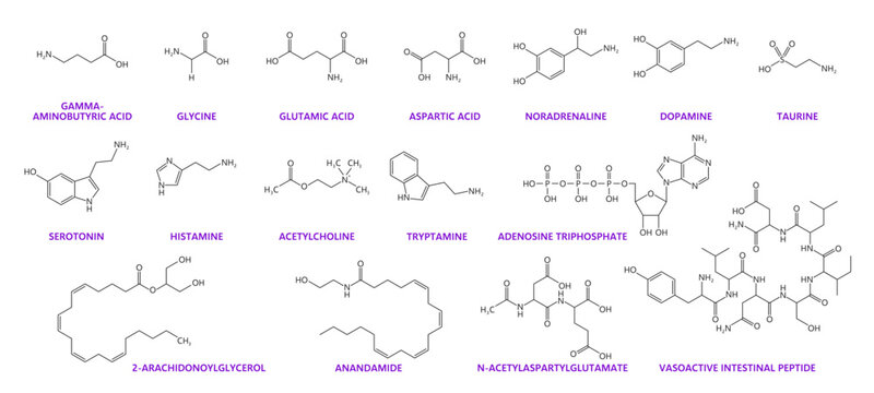 Neurotransmitter chemical formulas. Dopamine, serotonin, taurine and adrenaline molecules. Vector chemical skeletal structures of gamma-aminobutyric acid, glycine, glutamic acid, aspartic acid